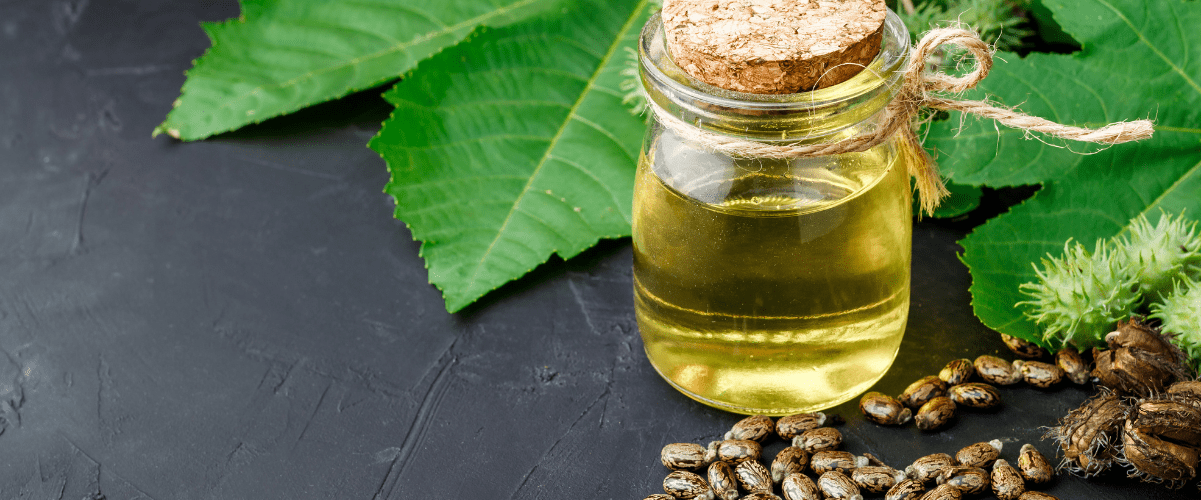 Black Castor Oil: The Healing Potion