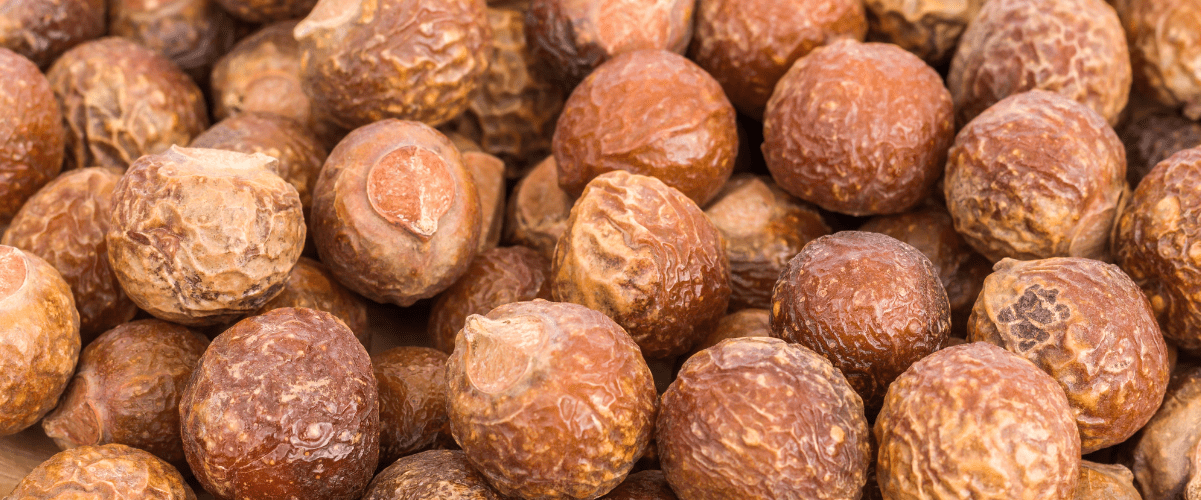 Soapnuts