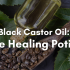 Black Castor Oil: The Healing Potion