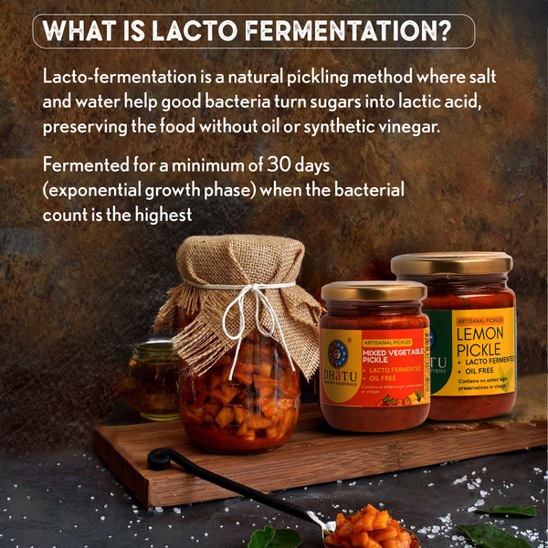 What Is Fermentation