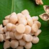 Sankranti 2024 Sugar Candy &Amp; Blocks (Sakkare Acchu)