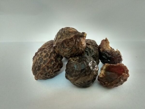 Himalayan Soapnuts 100G